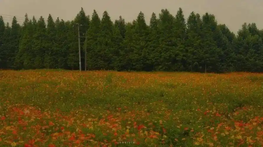 高级电脑壁纸ipad也可以用
