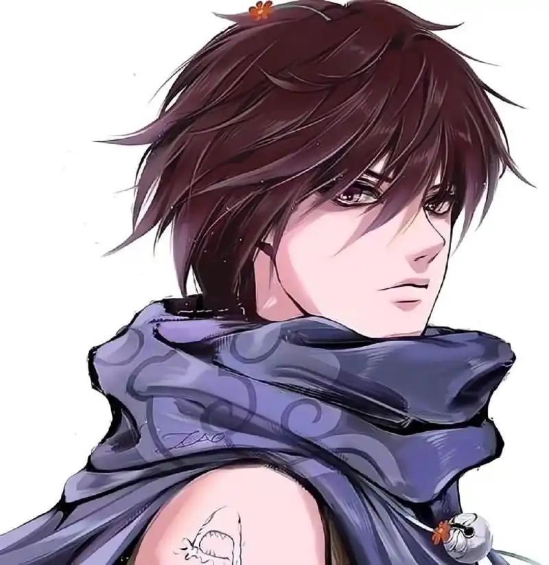 王者荣耀澜头像