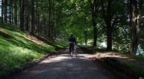在英国的路上留下骑行的背影