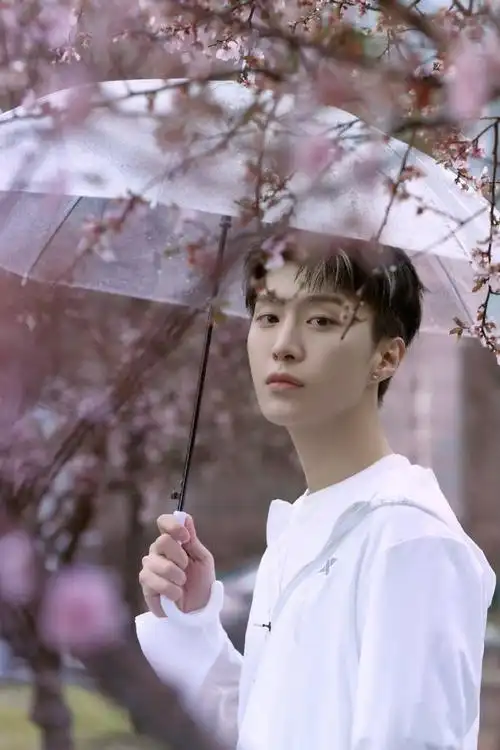范丞丞樱花树下撑伞照