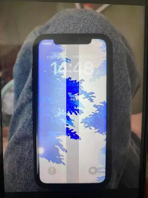 iphone11花屏