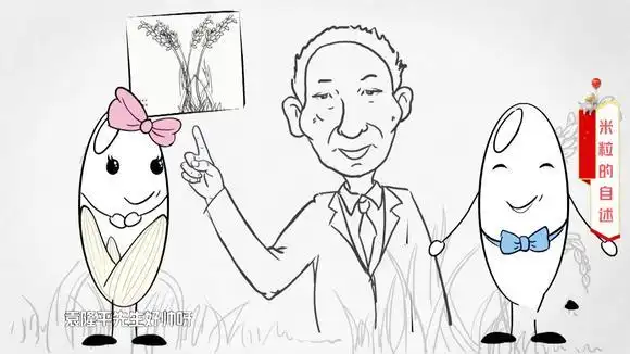 致敬袁隆平!米粒的自述:打破西方专家预言,我和祖国同成长!