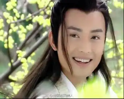 黄海冰《火帅》【潘少春】他是奸臣潘仁美的孙子,却天生一副侠义心肠.