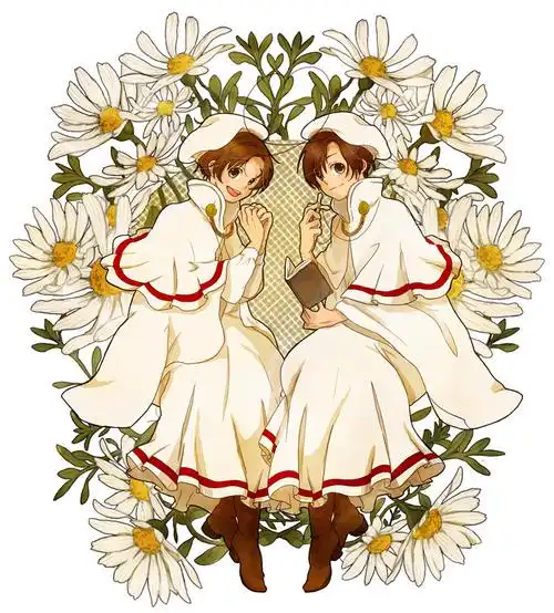 求高清图及其他伊双子图