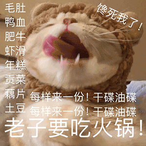 火锅动态图_儿童节到了给我100块我要吃火锅表情包gif动图下载_soogif