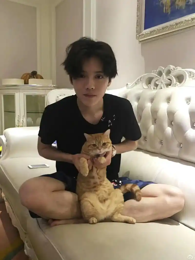 鹿晗 #exo #2015 - 抖音