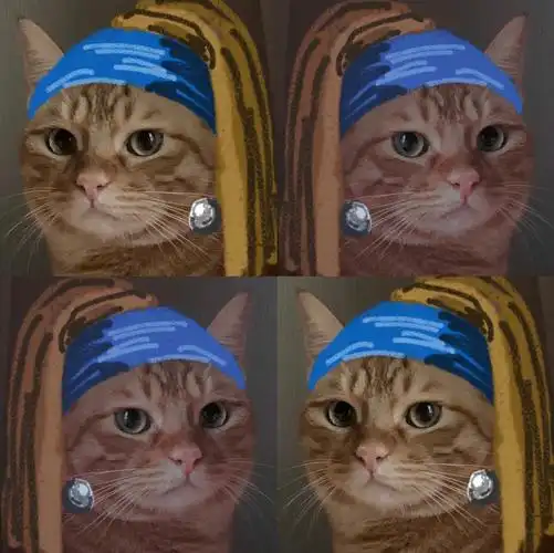 给你们看看戴珍珠耳环的小猫