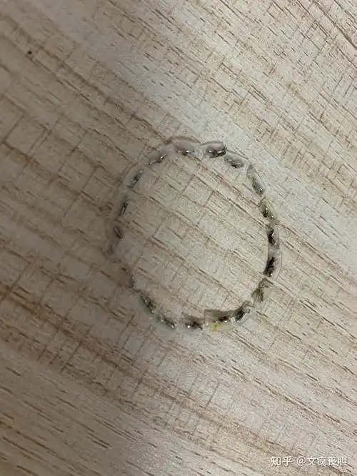 关于割包皮的过程分享 - 知乎