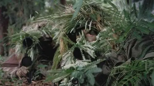 111 币圈生存埋伏的重要性