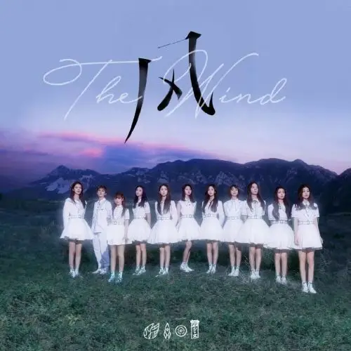 作为首个打出国民度的大型女团,火箭少女101面临的,是一条无可借鉴的