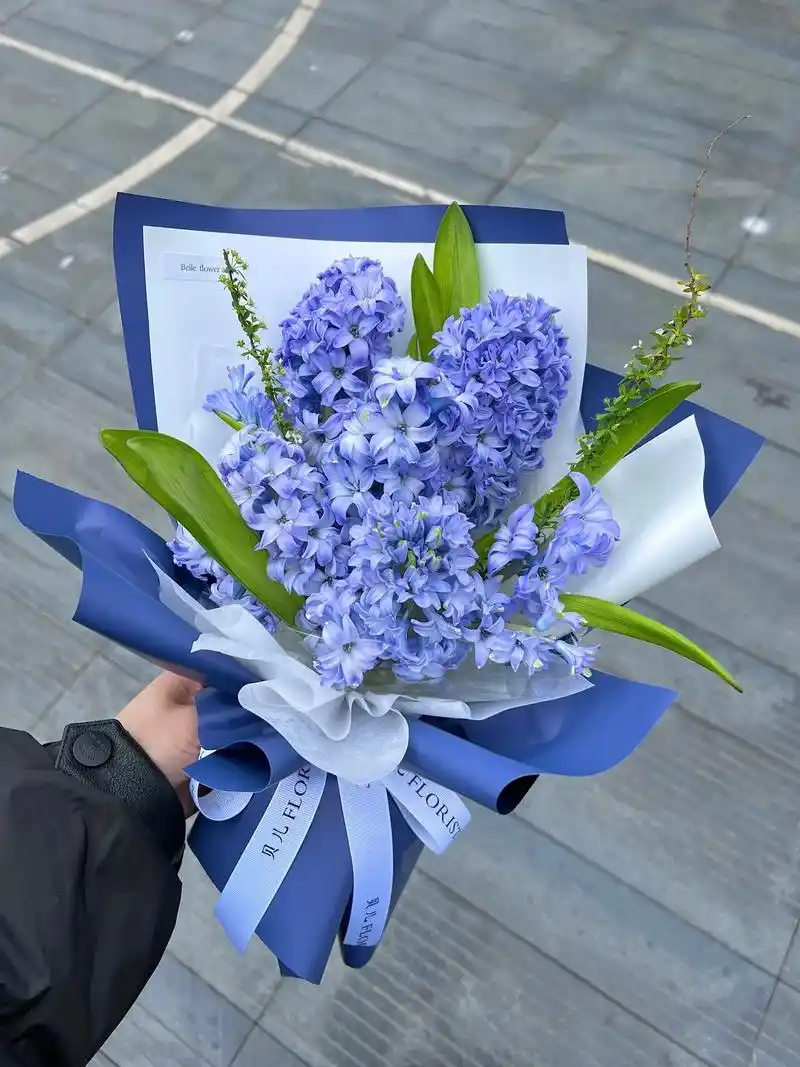 不如早点睡 梦里什么都有 #风信子花束 #蓝色风信子  #小 - 抖音