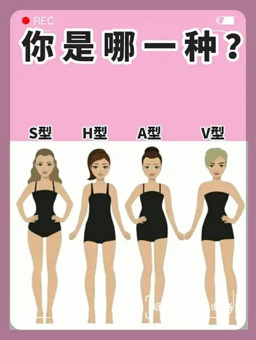 四种体型73你是哪一种71