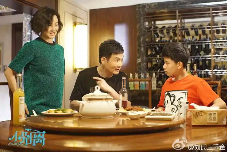 电视剧小别离剧评266