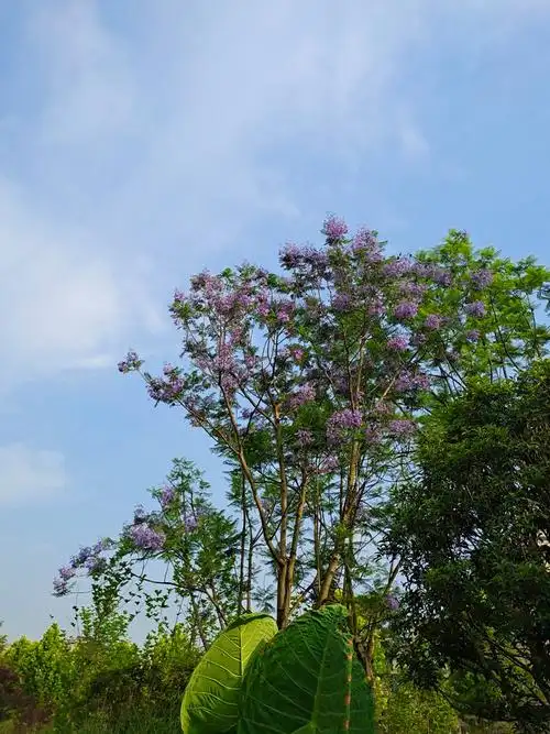 生活照捕捉的美丽风景72