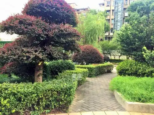 鹏程世家 3室2厅2卫 160.0万