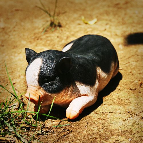 小猪模型树脂工艺品花园装饰庭院摆件创意礼品动物可爱仿真猪摆件