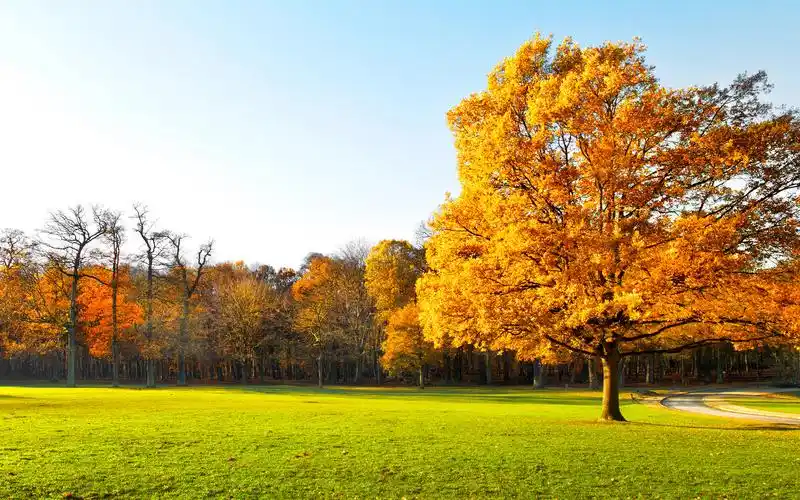 秋天美景图片大全电脑桌面壁纸下载第二辑高清大图预览1680x1050_风景