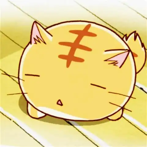 可爱头像 萌头像 猫咪头像 动物头像 动漫萌宠 女生头像 二次元 动漫