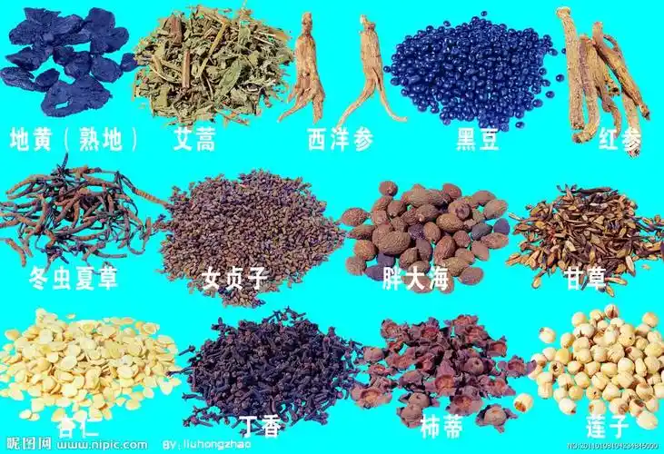 陕西省中医医院 药剂科 副主任药师 李佰成审核不过中药玄参的作用与