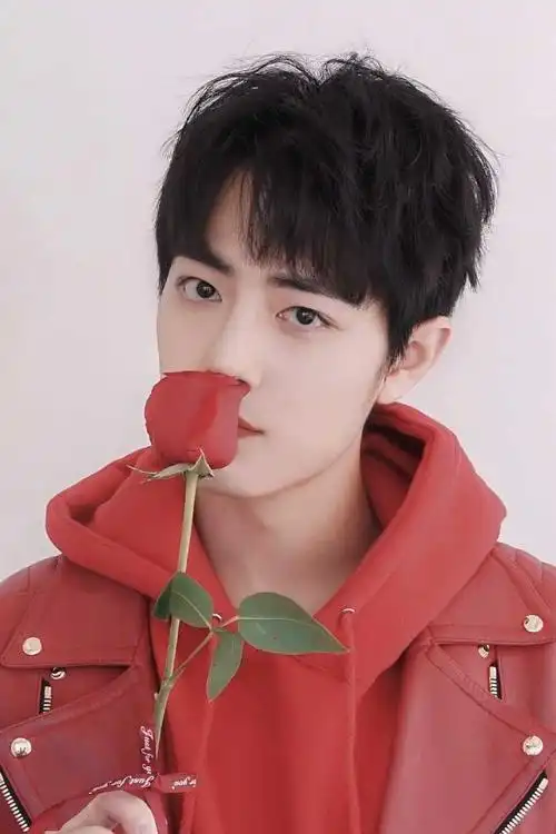 高中时期的肖战像什么样子?