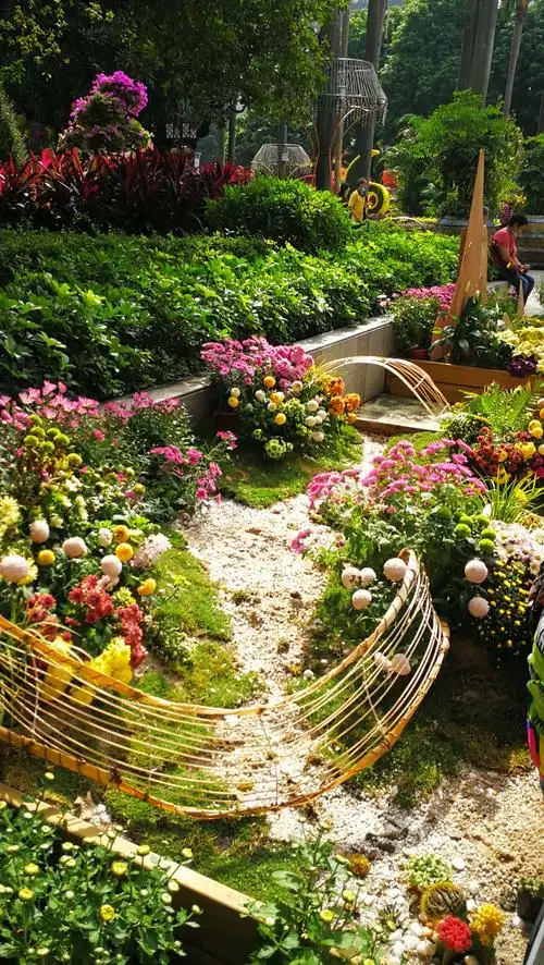 2o20年第61届羊城菊花展在文化公园,今年花展好靓,吸引大批 摄影爱好