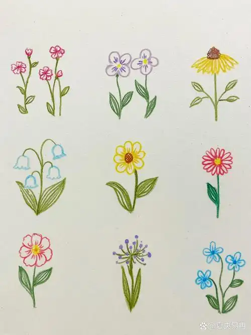 彩铅花朵简笔画,花花让人开心