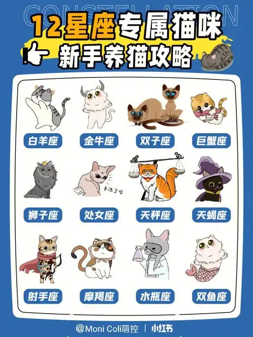 猫咪版12星座75你的星座和猫对上号了吗75