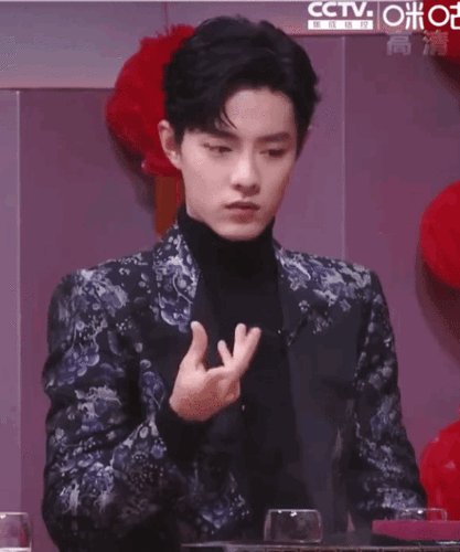 肖战动图 我们的歌