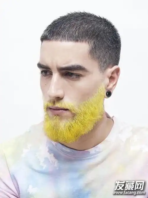 【图】2017男人胡子流行色 极具潮流感_韩式男发型_发藏网