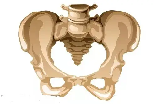 关于胎儿"入盆"?