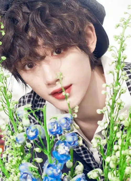 内娱最漂亮的眼睛都有谁#提名丁程鑫狐狸桃花眼,天生含情眼