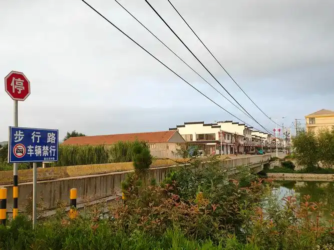 故乡现在的农村