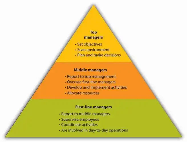 2 main levels of management (managerial members & non-managerial