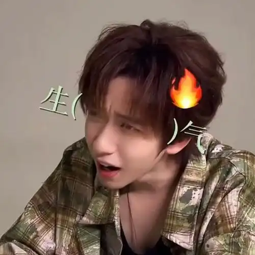 贺峻霖一个人就是一套表情包#贺峻霖咸甜粽子人格分裂