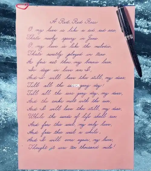 英文手写体毕业作品展示