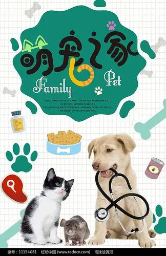 萌宠宣传海报