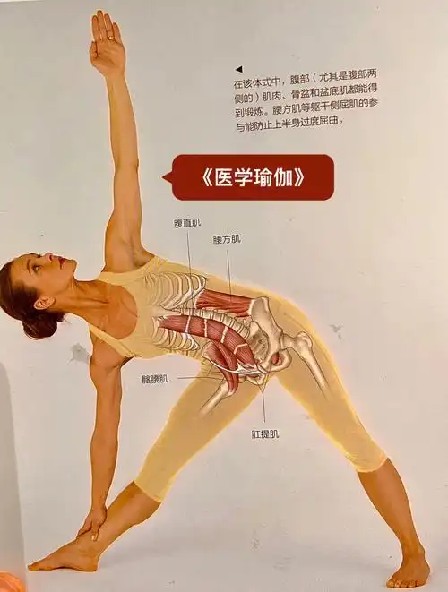 脊柱和右腿之间形成3个三角形;#瑜伽三角伸展