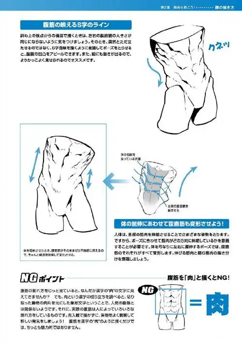 绘画参考#男性肌肉绘制