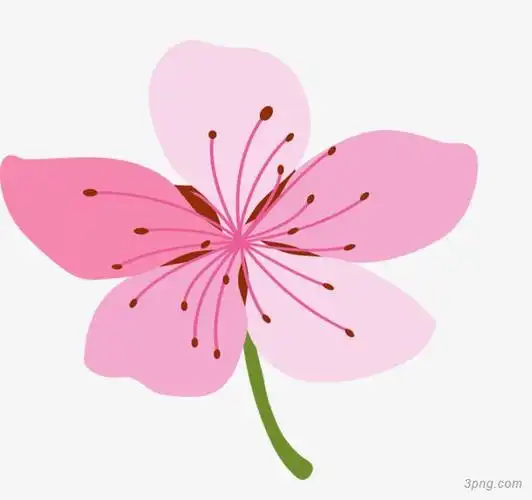 卡通粉色桃花png素材透明免抠图片-动植人物