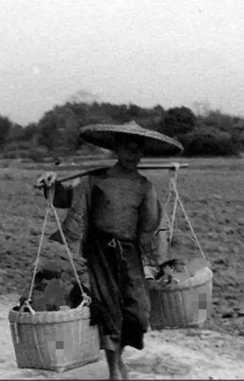 十六字令·筐 文/瀚山小鸴 筐,未脱毛芒谷满装.肩头担,蓄足一冬粮.