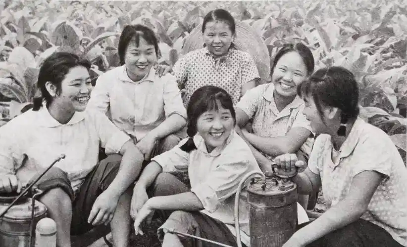 70年代记忆(17)-怀旧图片欣赏