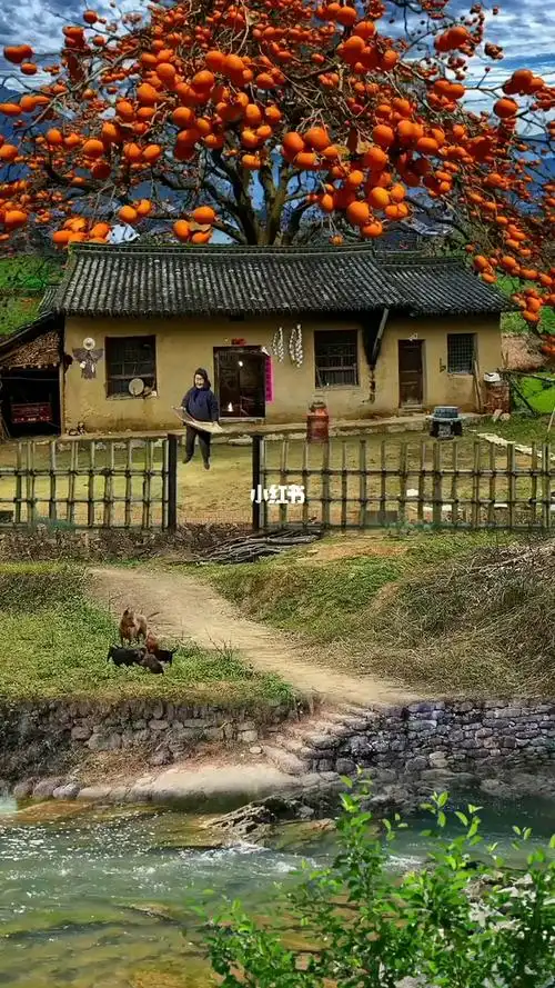 "农村 "田园生活"乡村风景