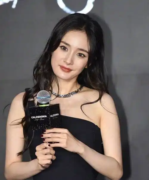 杨幂粉丝霸气出手!