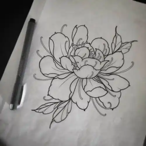 牡丹花简笔画 牡丹花简笔画简单又好看