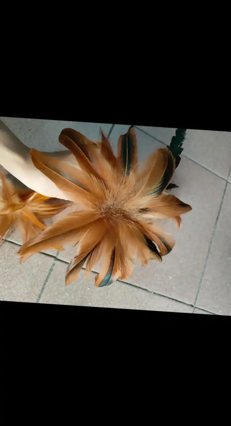 自然之美 鸡毛毽子#我的手工作品 #好不好看你们说了算 # - 抖音