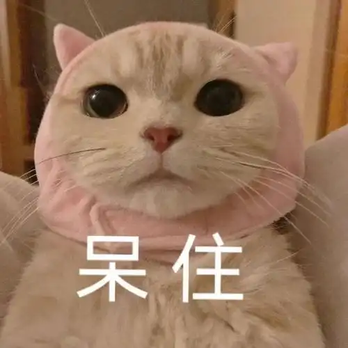 晚安,玛卡巴卡超级可爱的猫猫表情包
