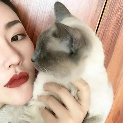 美女与猫系列女生头像照片爱猫的妹子都是好看的妹子