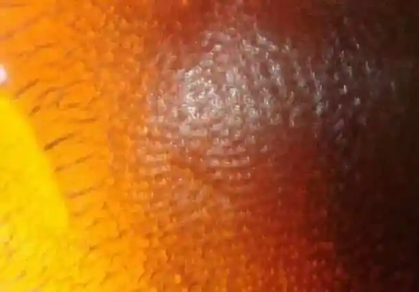 鉴别真假犀牛角看这篇就够了