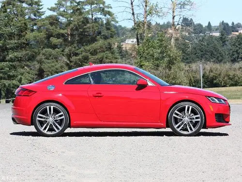 2015款奥迪tt双门基本型