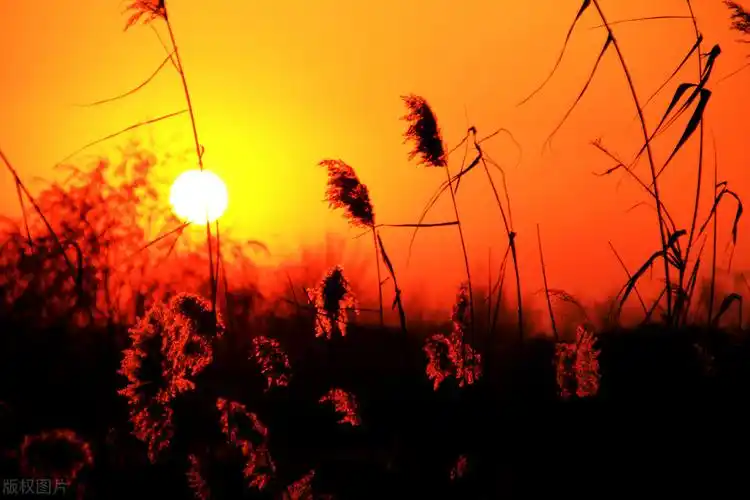 形容晚霞的成语有哪些形容傍晚的晚霞的词语